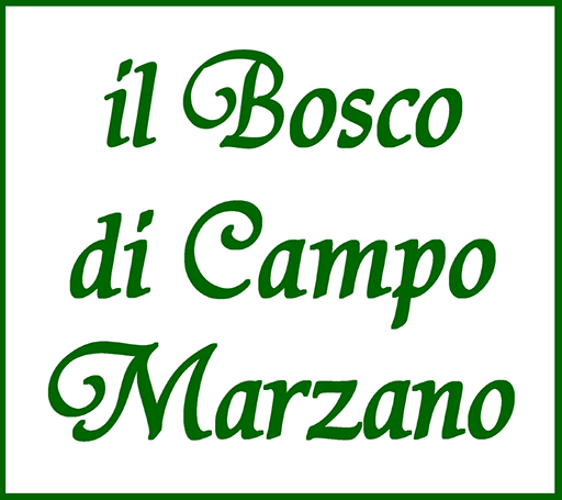 Il Bosco di Campo Marzano