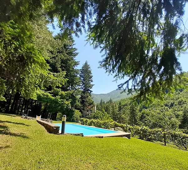 vista piscina