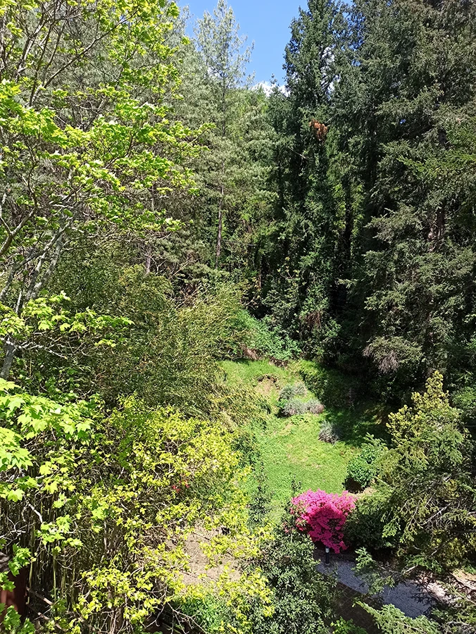 vista bosco da terrazzo di un appartamento